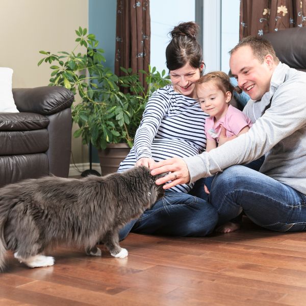 an image showing a family with their cat sitting on the floor made by custom tile contractor services 